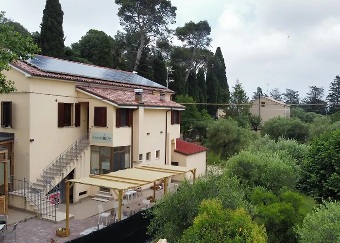 LOCANDA OLIVI affitta camere Senigallia