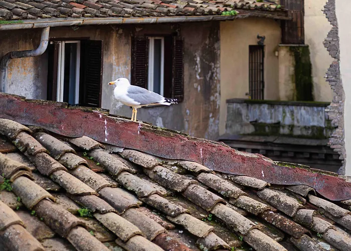 Bed and Breakfast Casa De' Fiori Roma