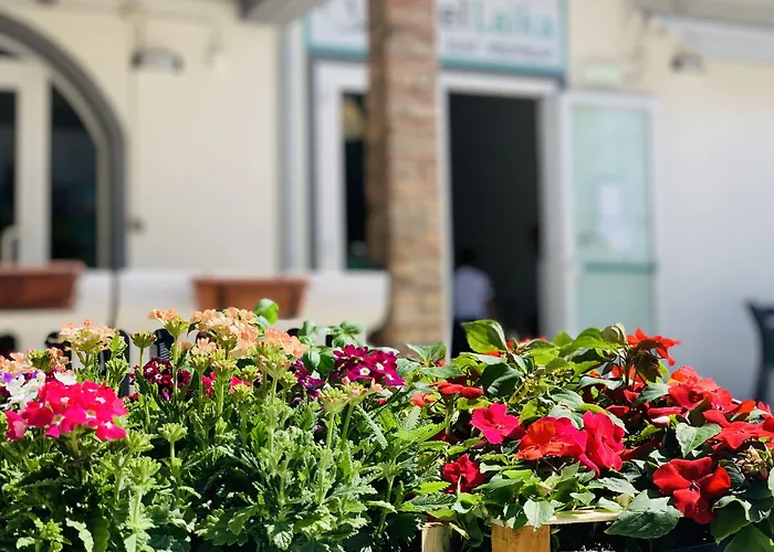 Hotel EconomiciLaika