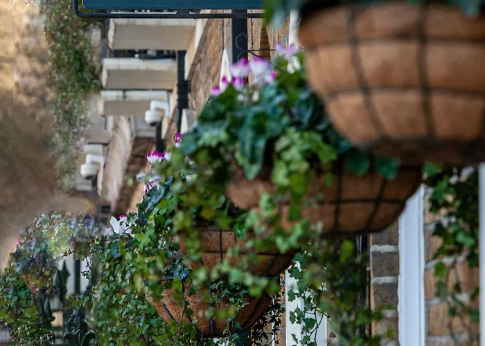 Hotel EconomiciCalifornia - London Kings Cross