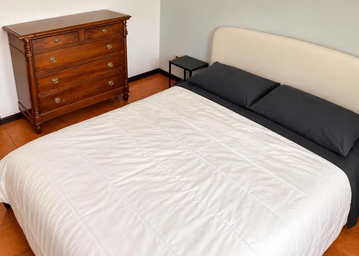 Ciamarra Guesthouse Pet Friendly Dog And Cat Accepted Roma