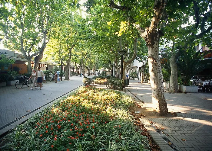 Hotel EconomiciBarca D'Oro